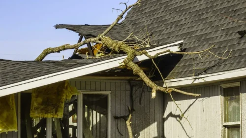 12-62fd51e7dba3774ffa9a9394_Weather-Damage-Restoration
